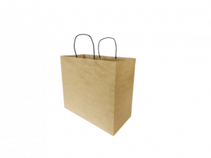 Twist Handle Paper Bags LARGE